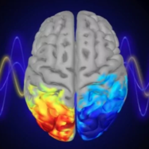 Neurofeedback Equipment Practicum
