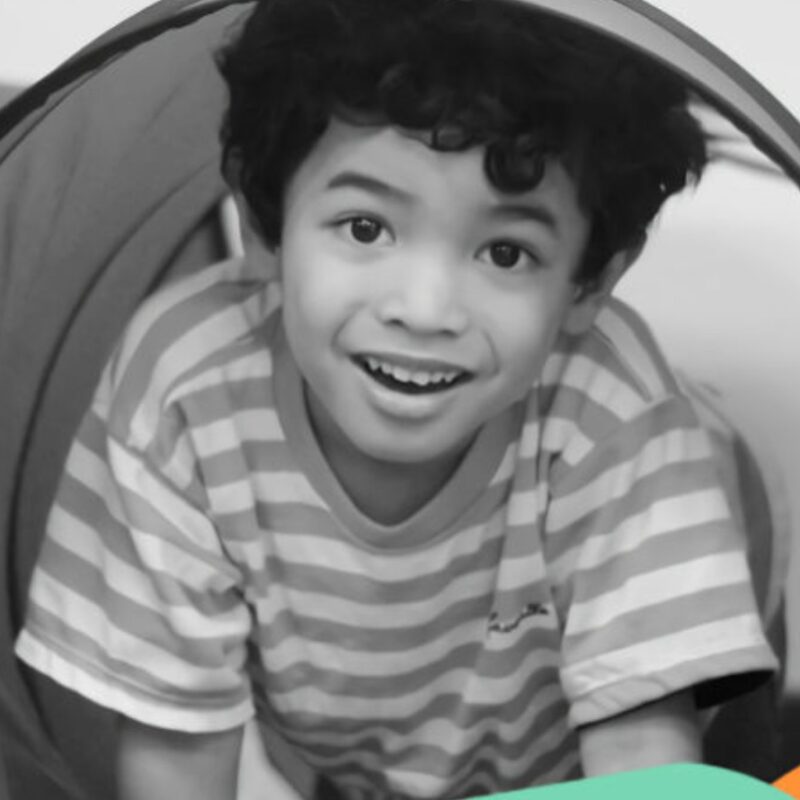 SMARTmoves Sensory Motor Arousal Regulation Treatment (COLLECTION