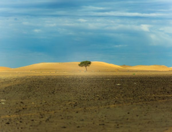karim-manjra-ulquHF89xuY-unsplash